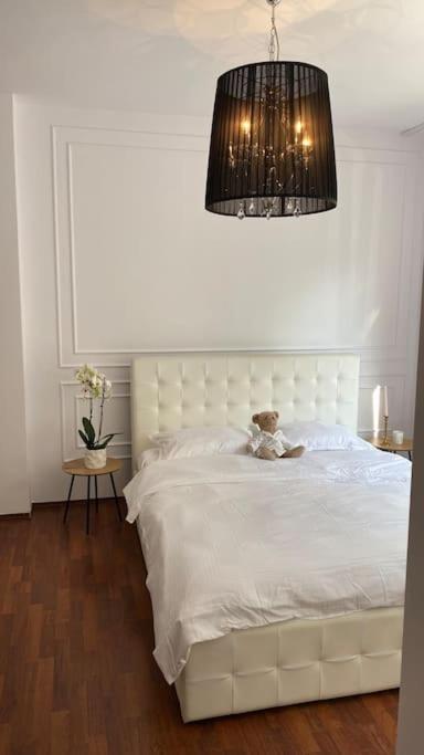 Hidden Gem Apartment In The Center Of The City Brašov Exteriér fotografie